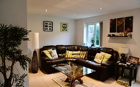 Holly Crescent, Sacriston Dh7